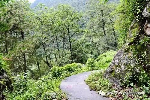 嘉祥特警探索构建“无人机+警务”新模式 护航平安新高地